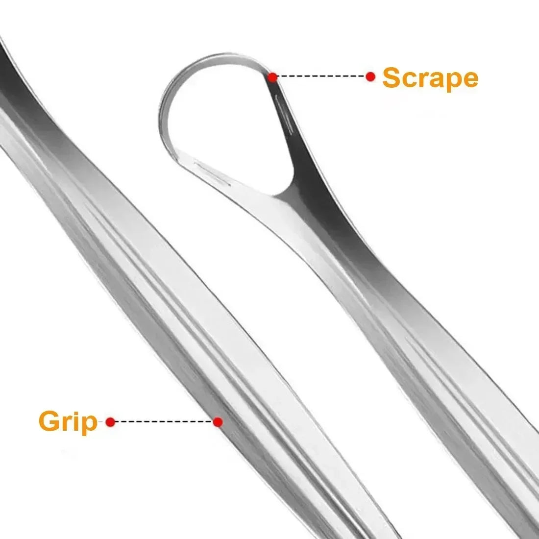 Stainless Steel Tongue Scraper
